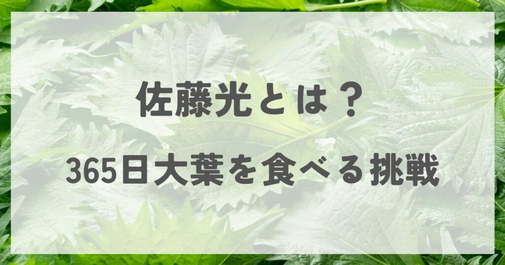 satohikaru