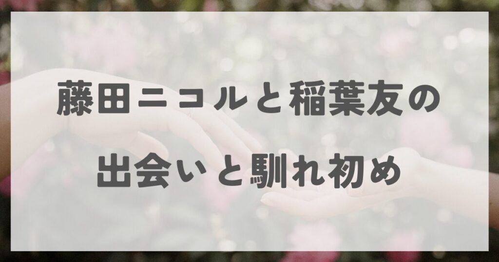 fujitanicole