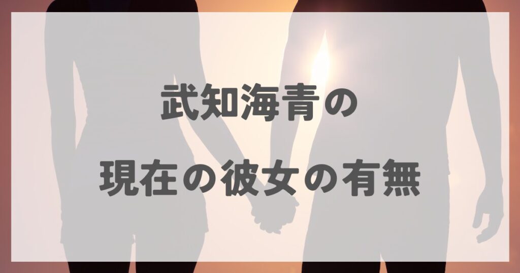 takechikaisei