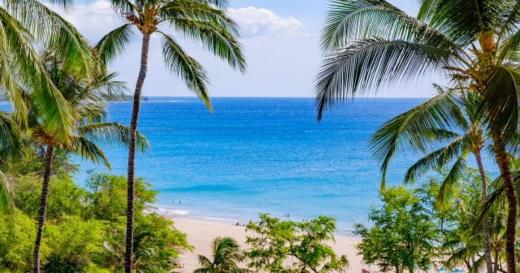 aokikeiko-hawaii