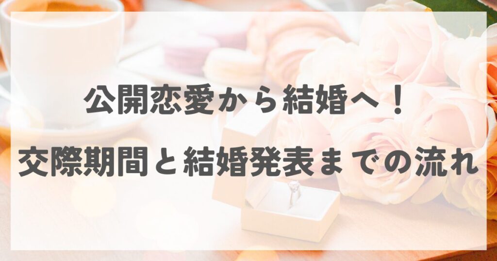 minegishiminami-tetsuya